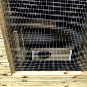 Holland Rabbit & Guinea Pig Shed