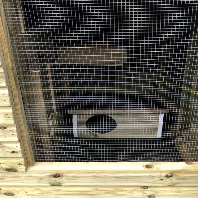 Holland Rabbit & Guinea Pig Shed